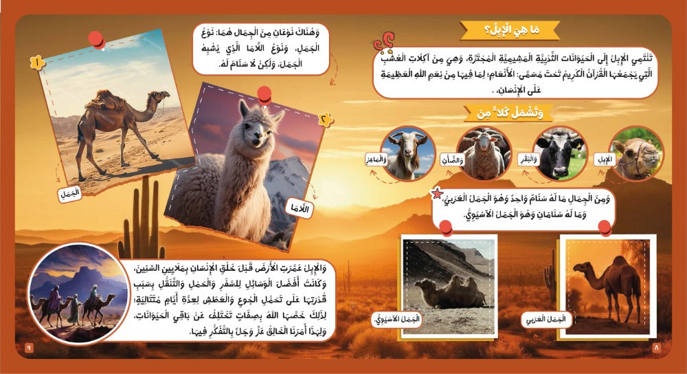 الحيوان في القرآن