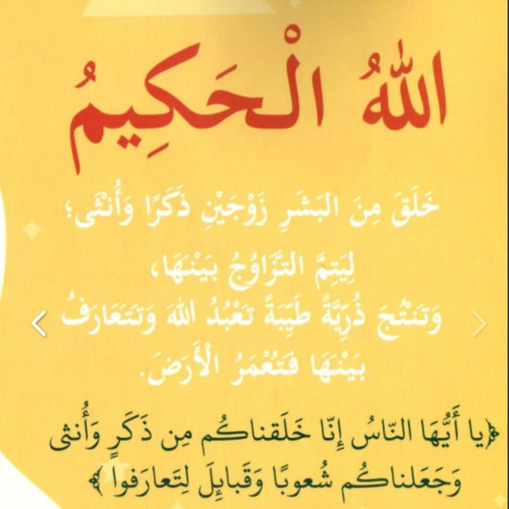 سلسلة بها ابدئي يا أمي