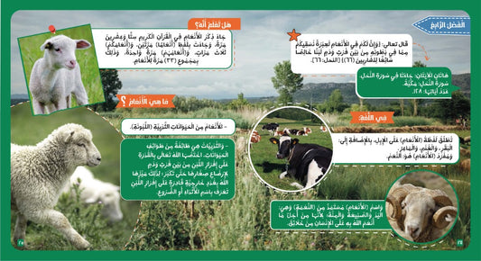 الحيوان في القرآن The animals in the quran