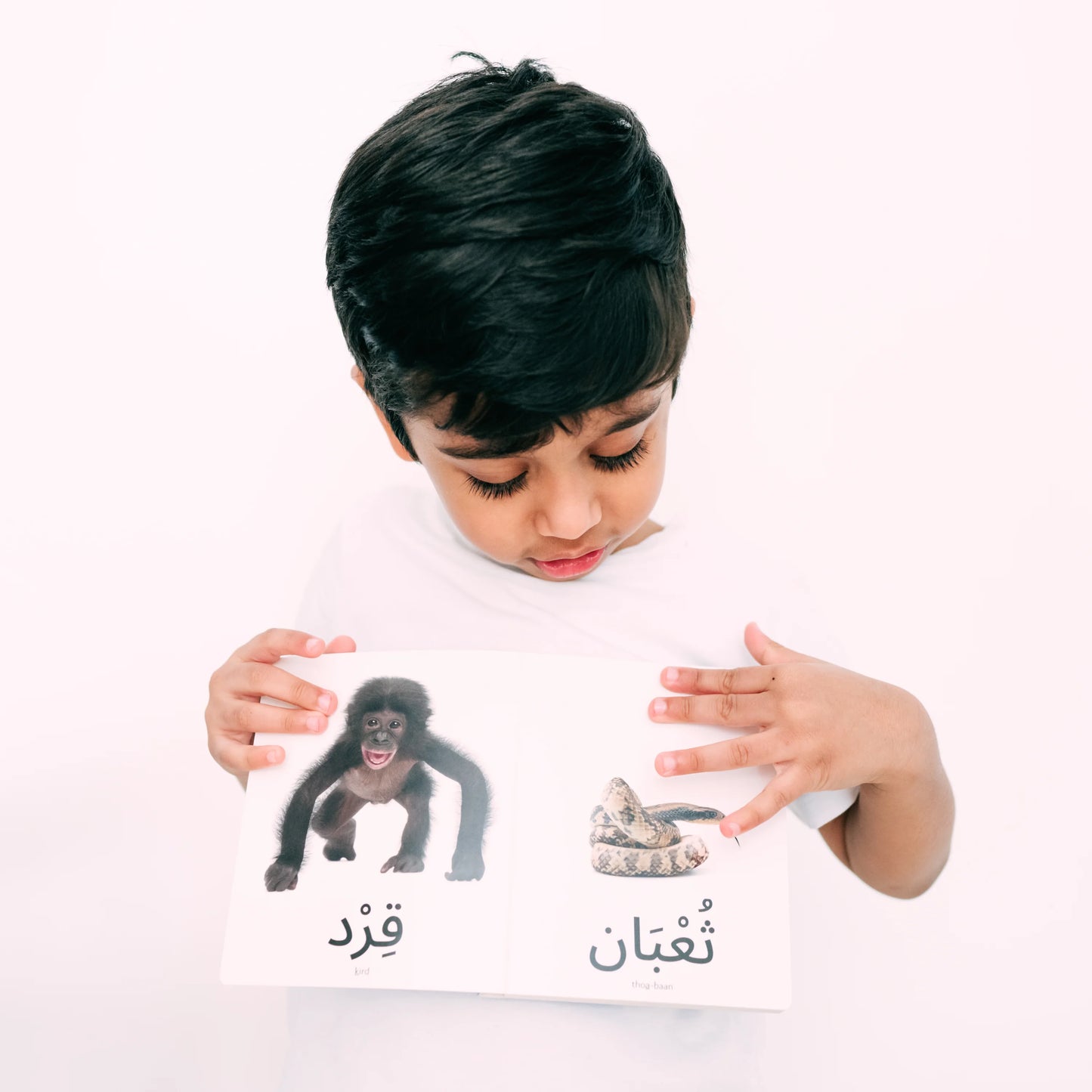 كلماتي الأولى الحيوانات My first words: Animals