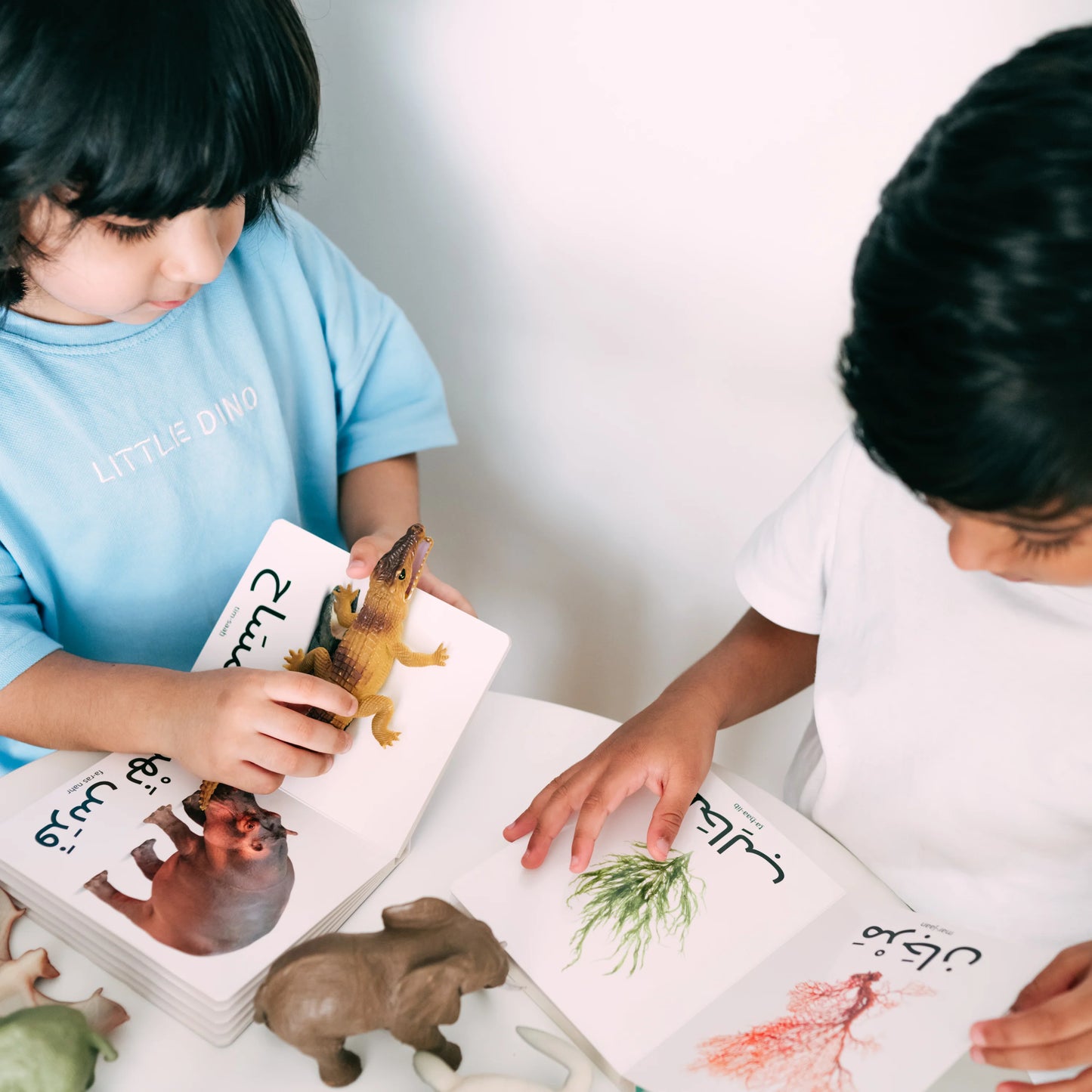 كلماتي الأولى: الحيوانات البرية My first words: Wild animals