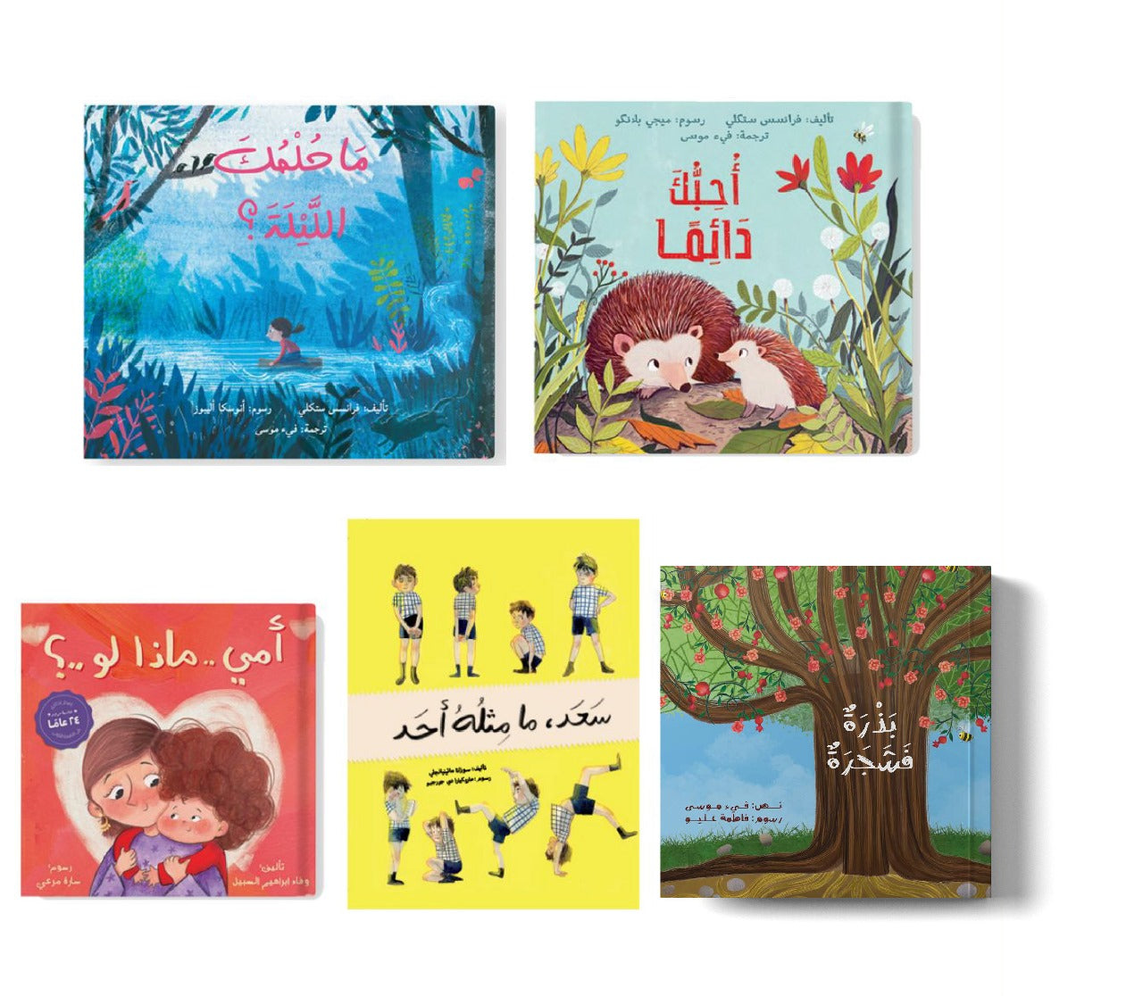 مجموعة القارئ المبتدئ ٥ كتب في علبة هدايا The beginner reader bundle 5 books in a gift box