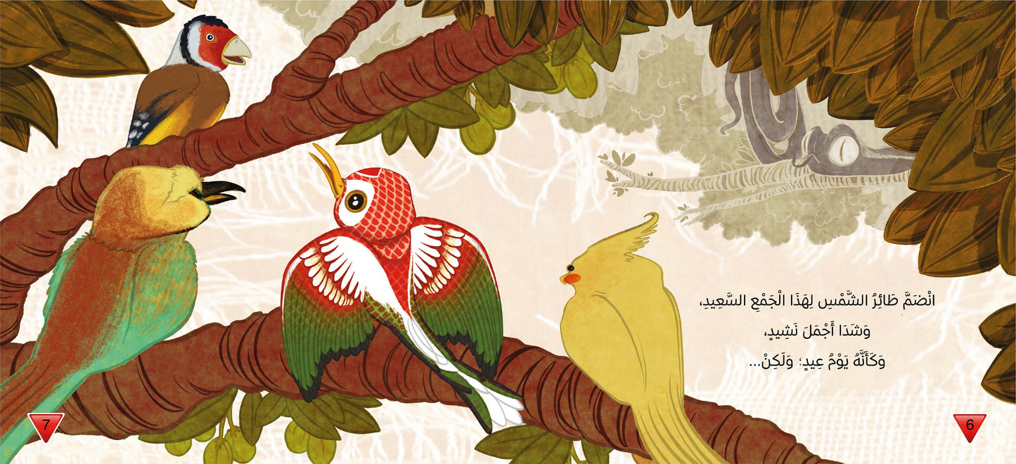 طائر الشمس The sun bird