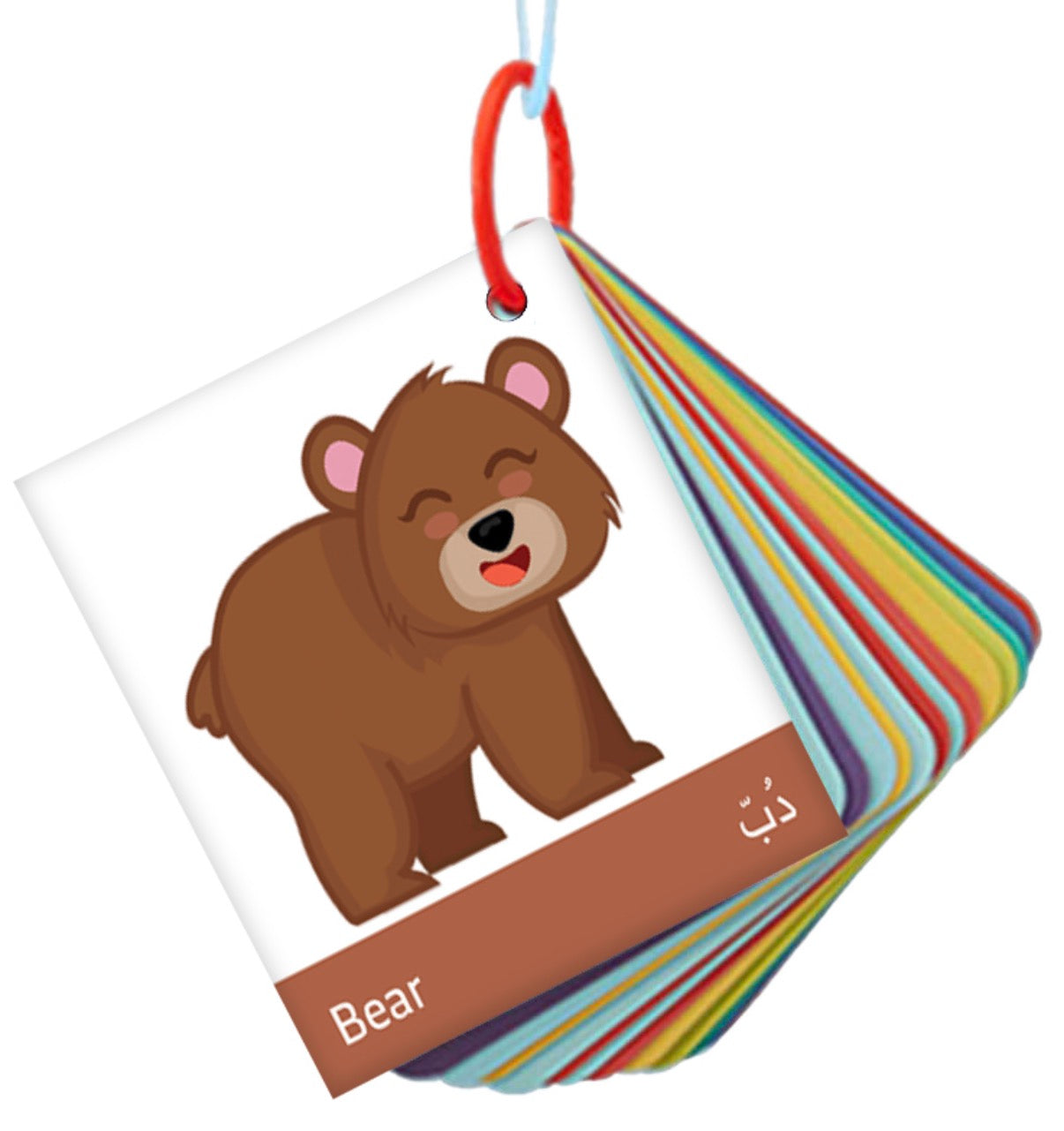 ميداليات تعليمية Educational flashcards