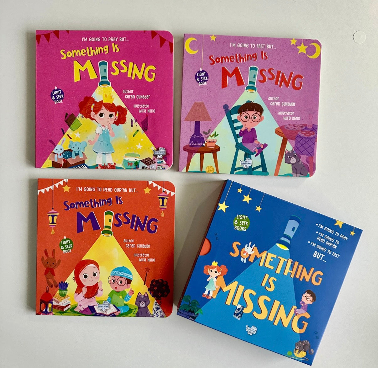 Something is missing, light and seek board book set