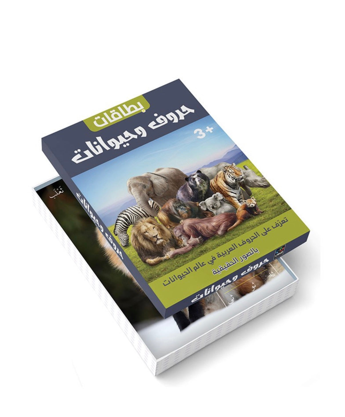 بطاقات حروف وحيوانات بالصور الحقيقية Arabic letters flashcards with real animal pictures