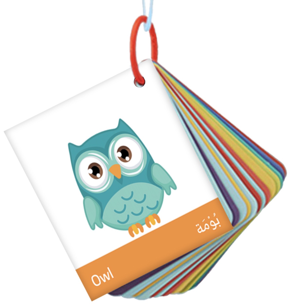 ميداليات تعليمية Educational flashcards