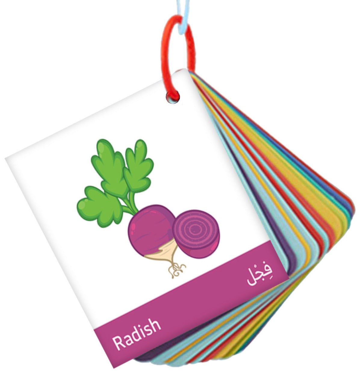 ميداليات تعليمية Educational flashcards