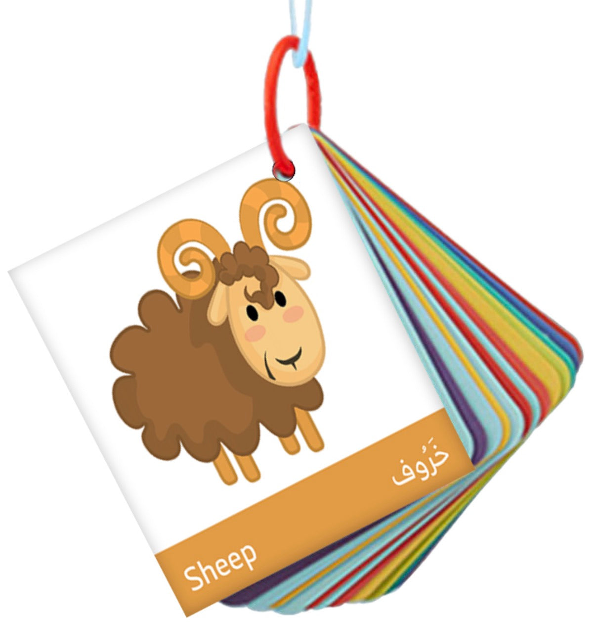 ميداليات تعليمية Educational flashcards