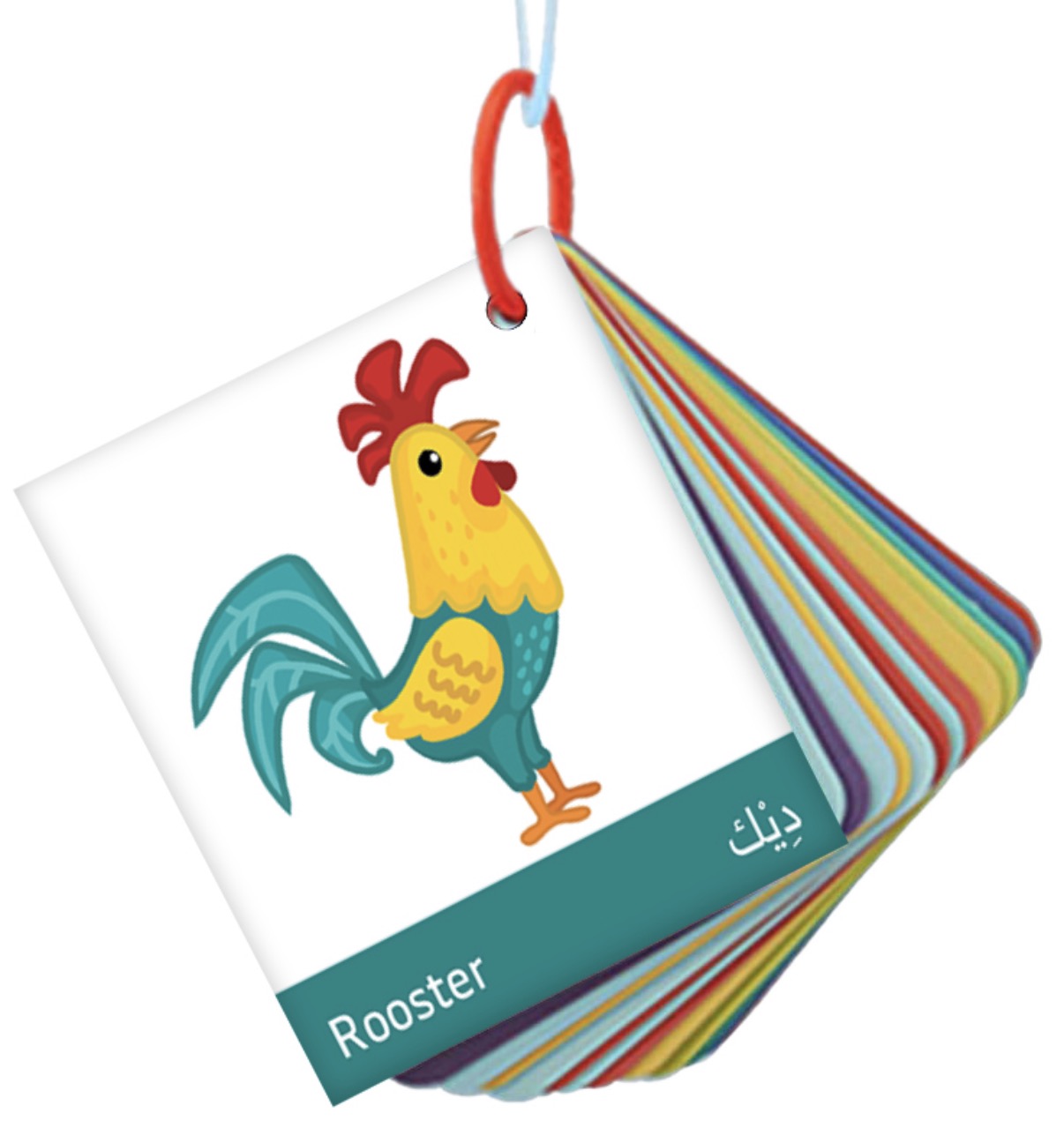 ميداليات تعليمية Educational flashcards