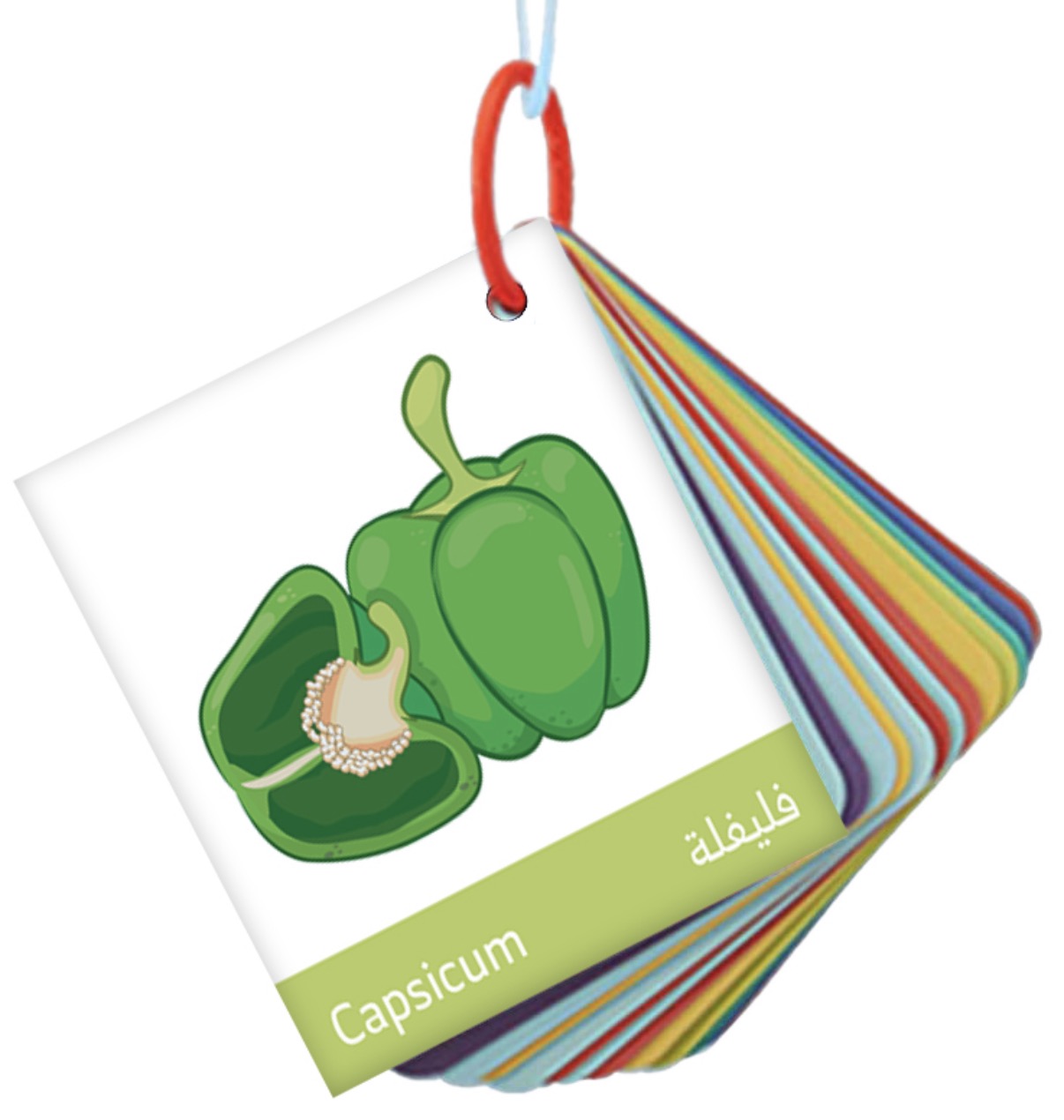 ميداليات تعليمية Educational flashcards