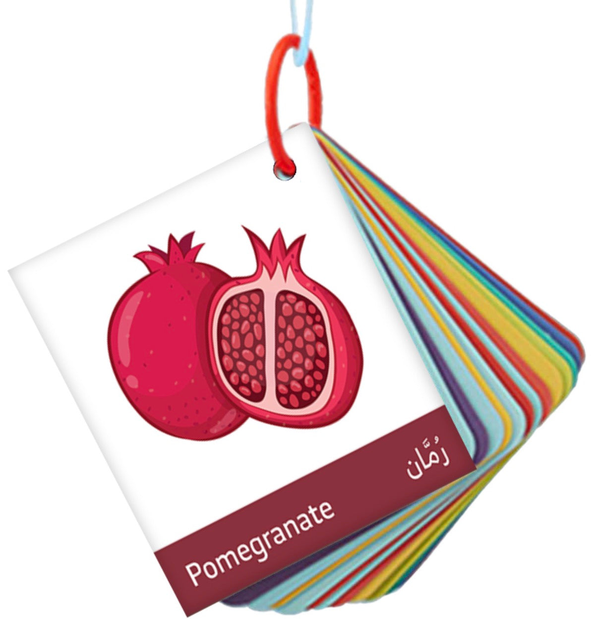 ميداليات تعليمية Educational flashcards