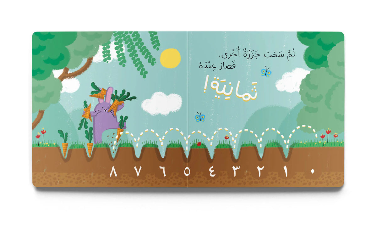 عشر جزرات 10 carrots