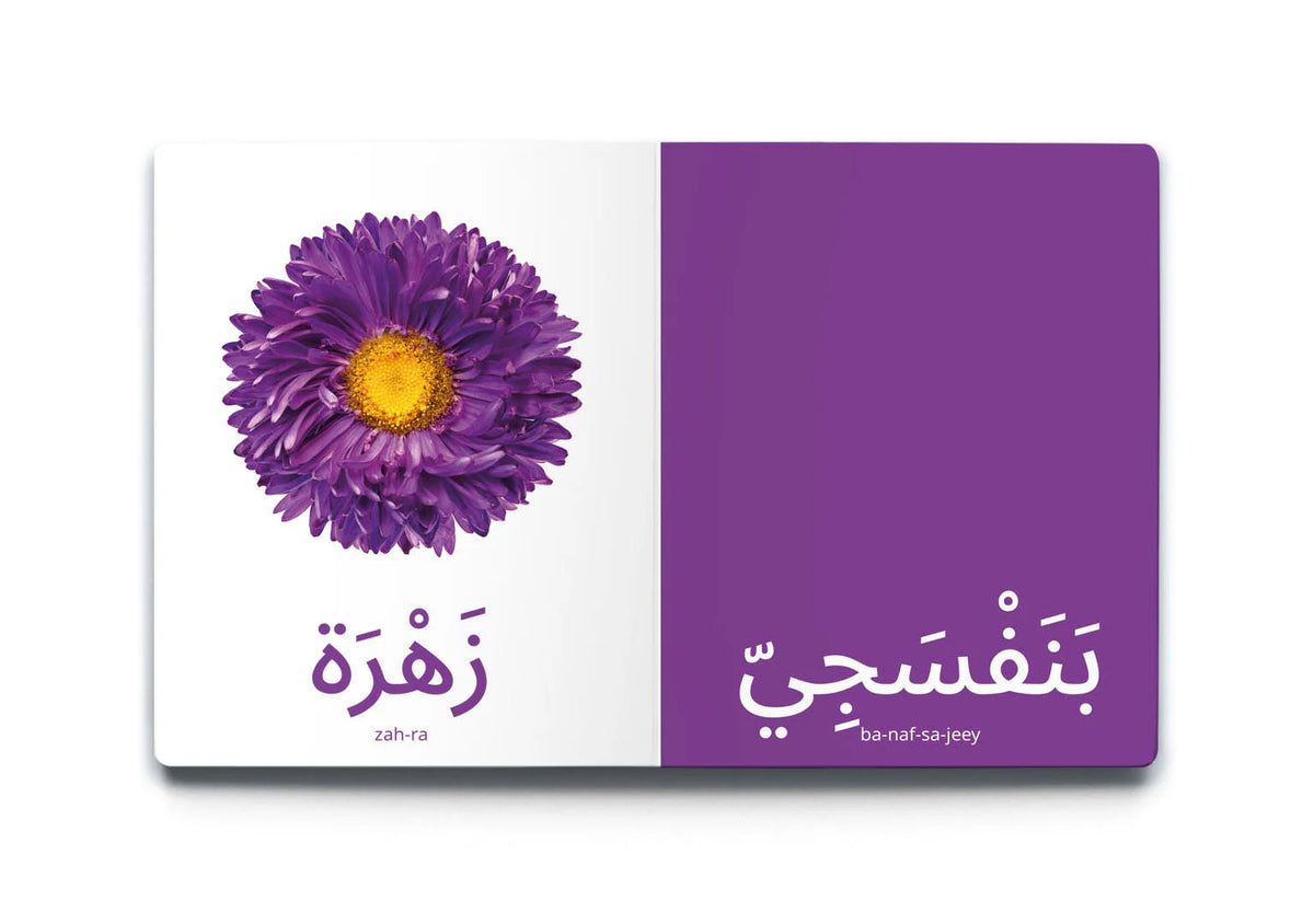 كلماتي الأولى ألواني my first words my colors