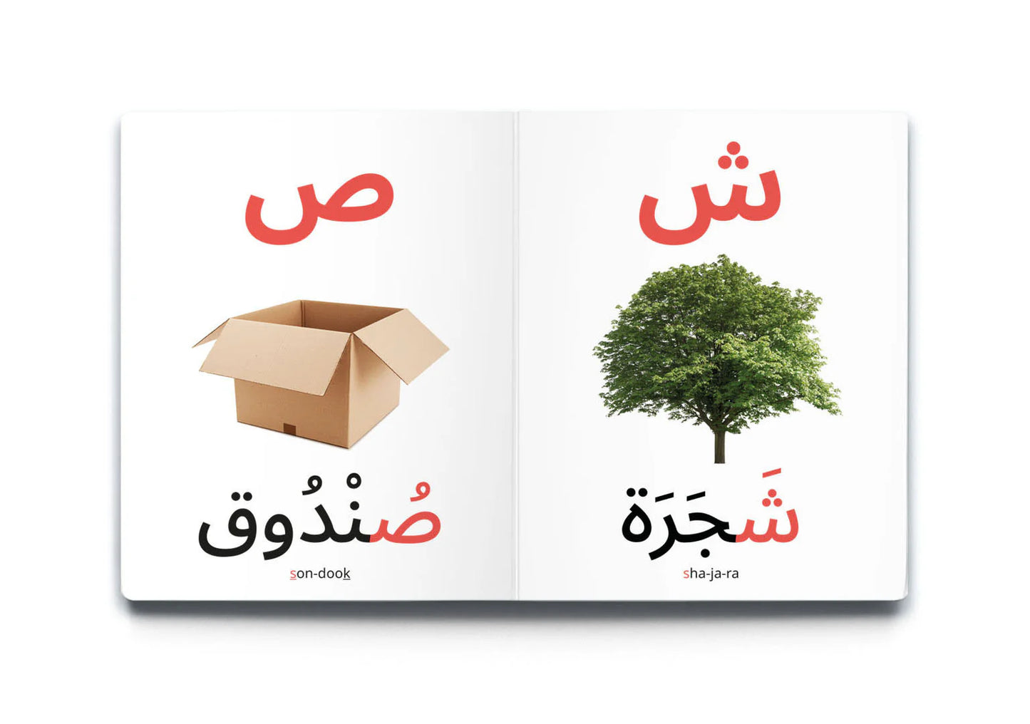 My first words: Arabic alphabet كلماتي الأولى الأحرف العربية
