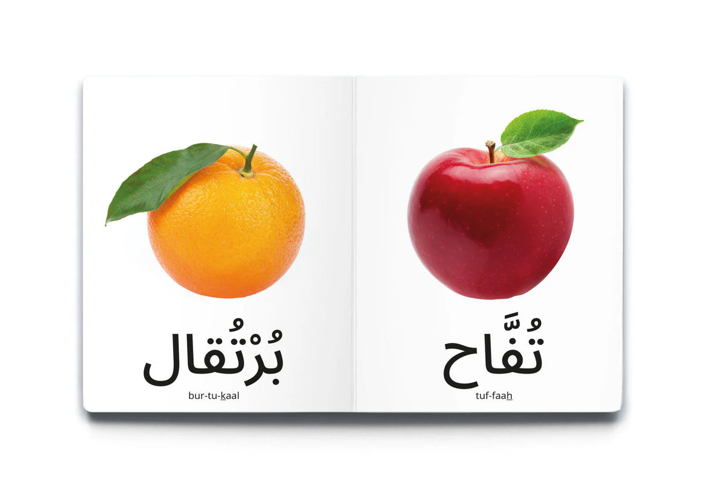كلماتي الأولى الفواكه My first words: Fruits