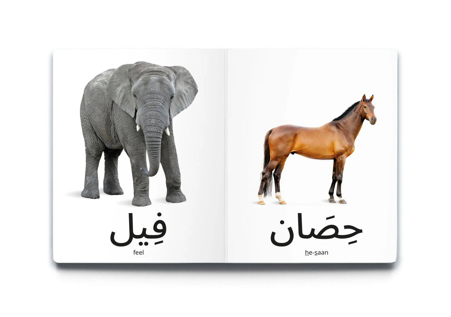 كلماتي الأولى الحيوانات My first words: Animals