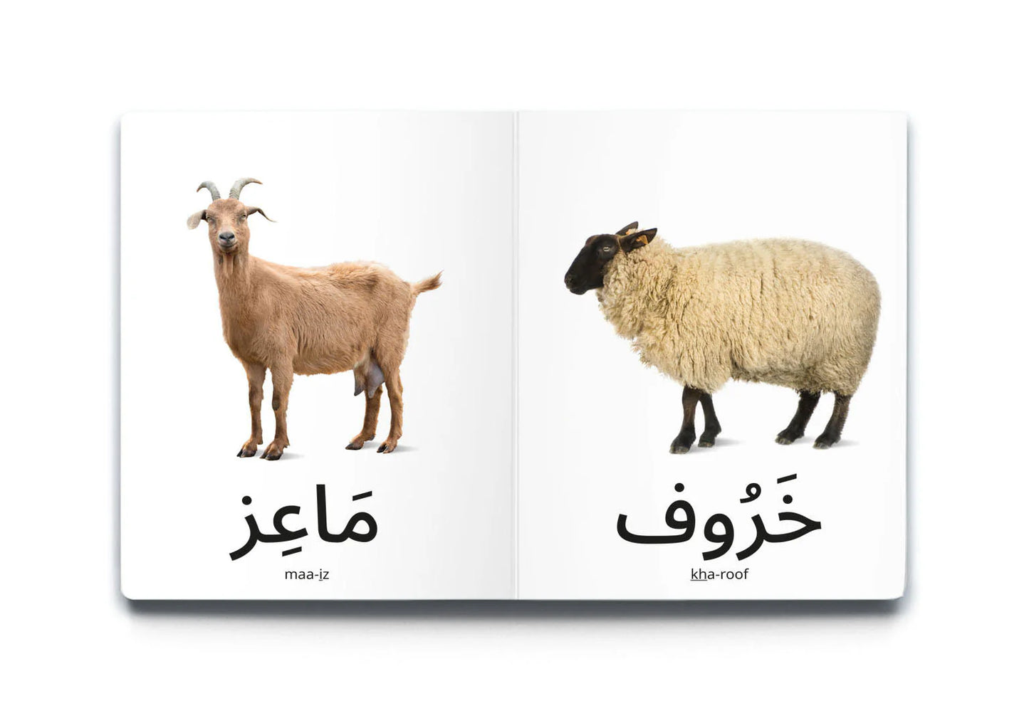 كلماتي الأولى: حيوانات المزرعة My first words: Farm Animals