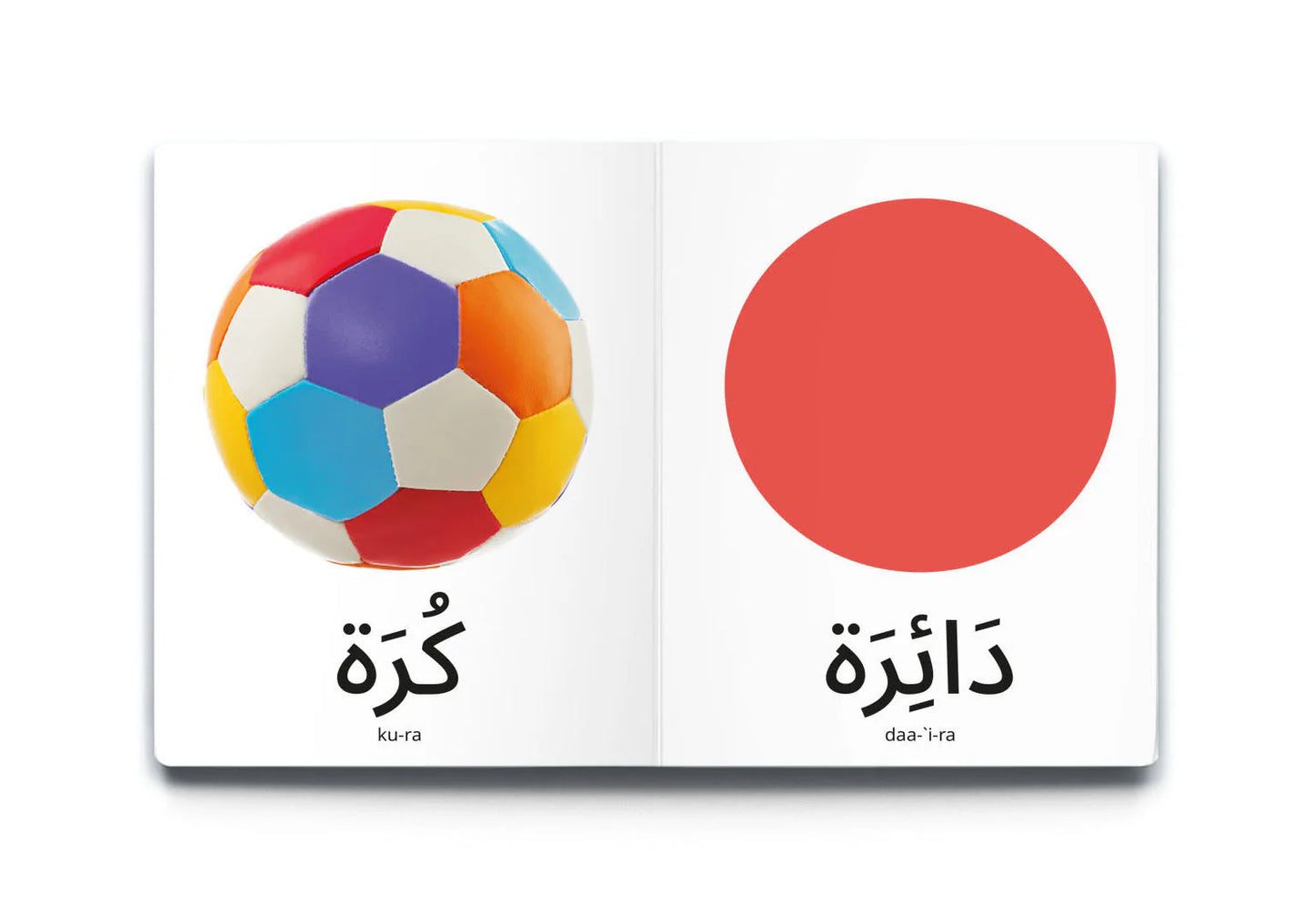 My first words: shapes كلماتي الأولى: الأشكال
