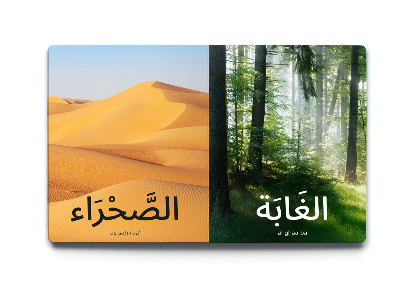 كلماتي الأولى: الطبيعة My first words: Nature