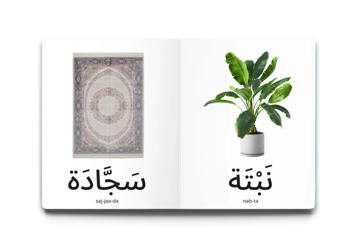 My first words: My home كلماتي الأولى: منزلي