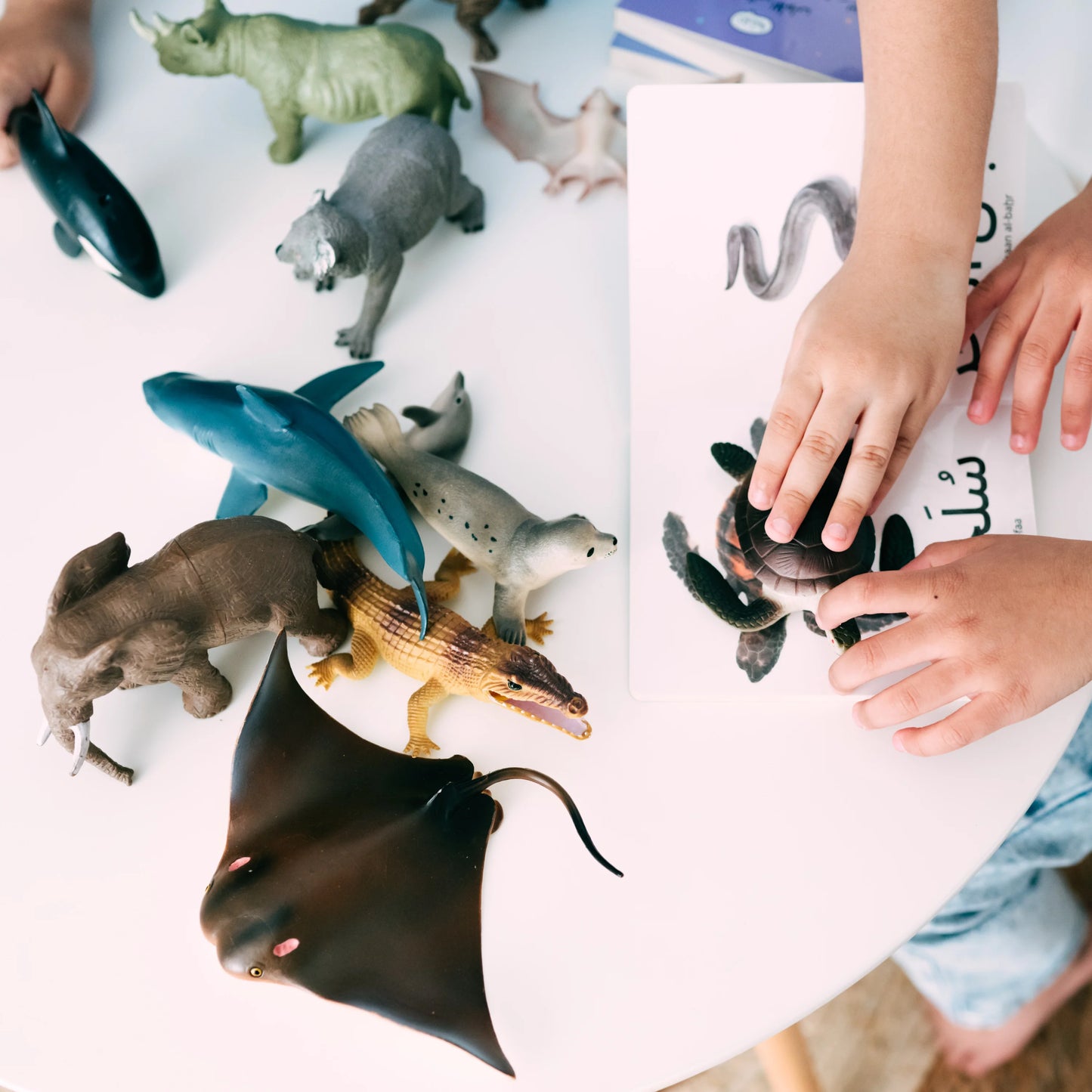 My first words: sea animals كلماتي الأولى: حيوانات بحرية