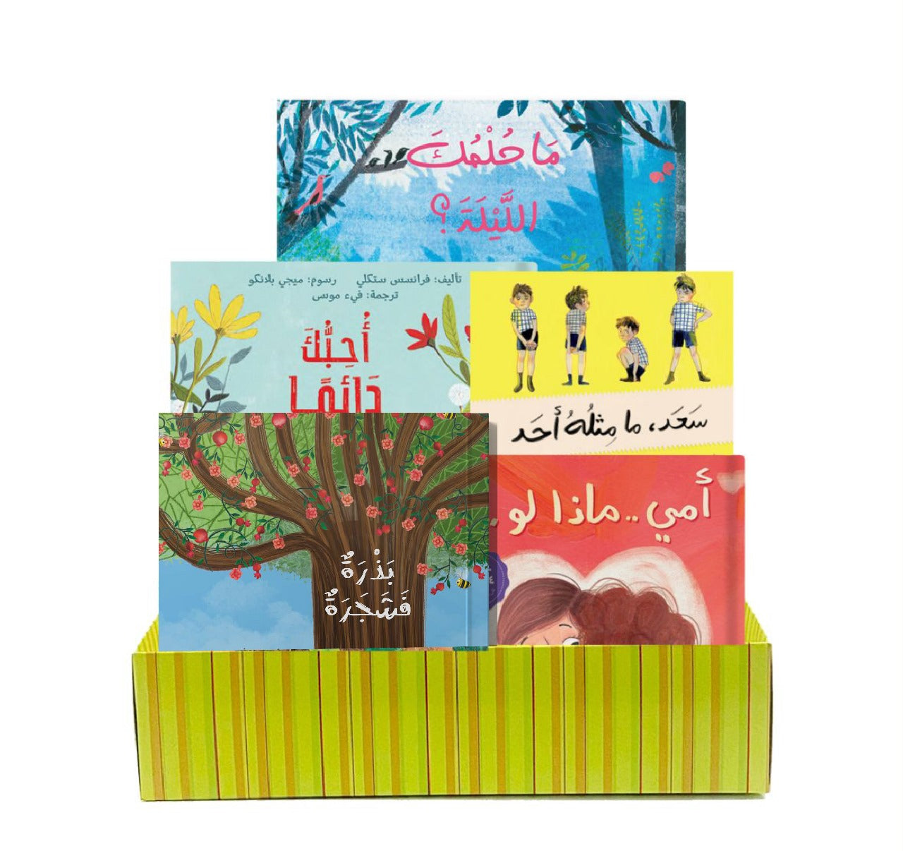 مجموعة القارئ المبتدئ ٥ كتب في علبة هدايا The beginner reader bundle 5 books in a gift box