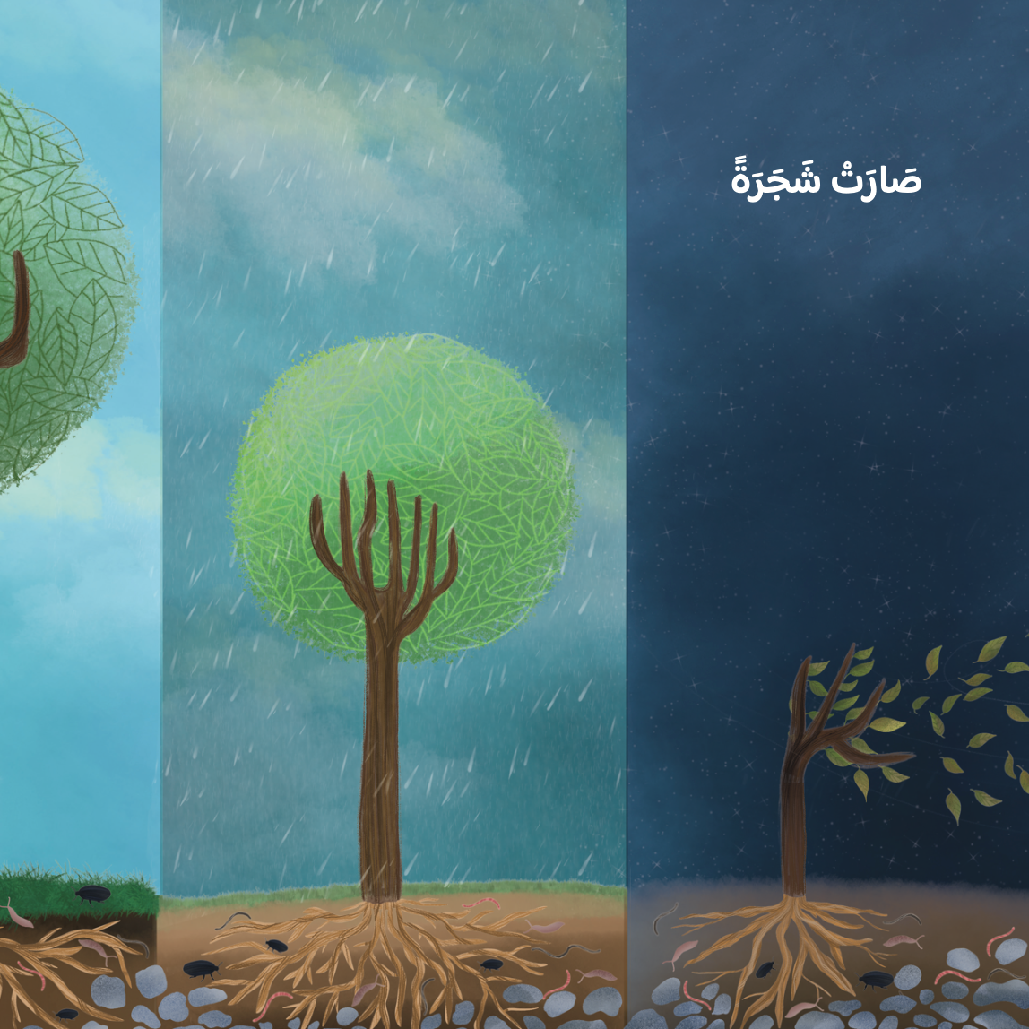 بذرة فشجرة  a seed then a tree