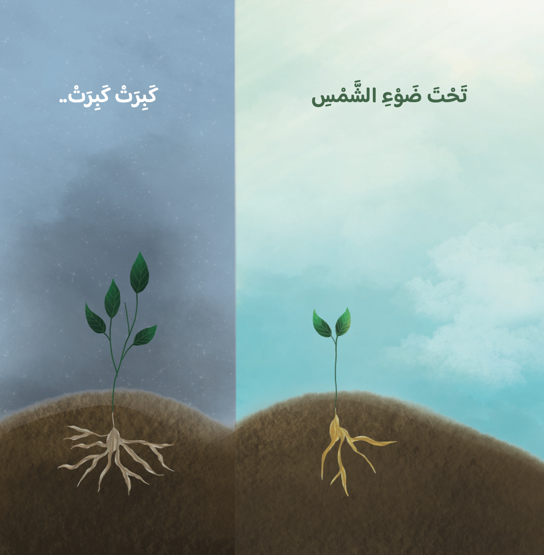 بذرة فشجرة  a seed then a tree